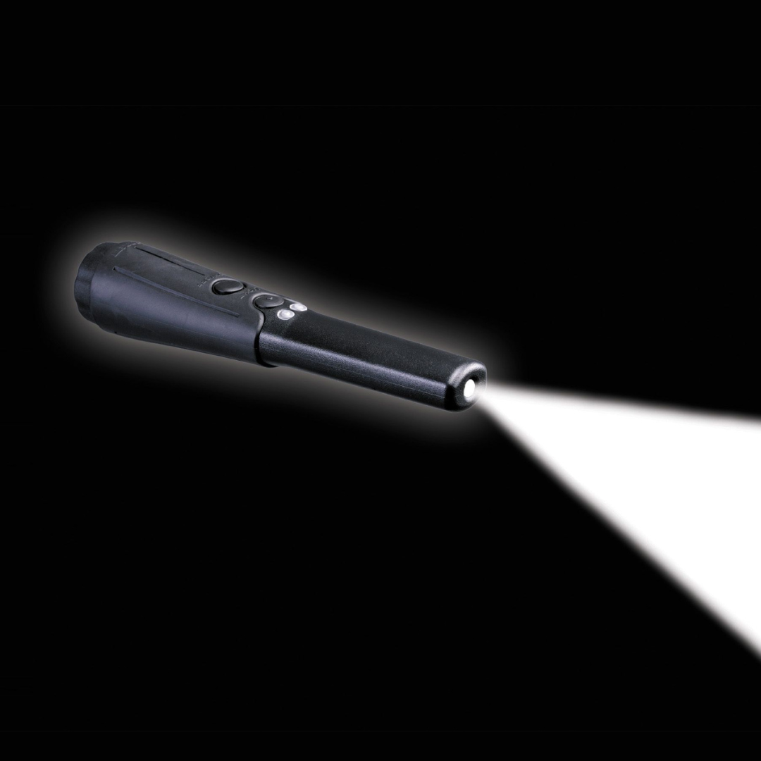 Détecteur de Métal Garrett THD