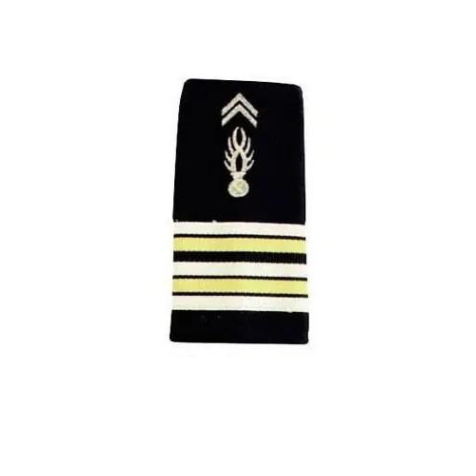 #grade_lieutenant colonel