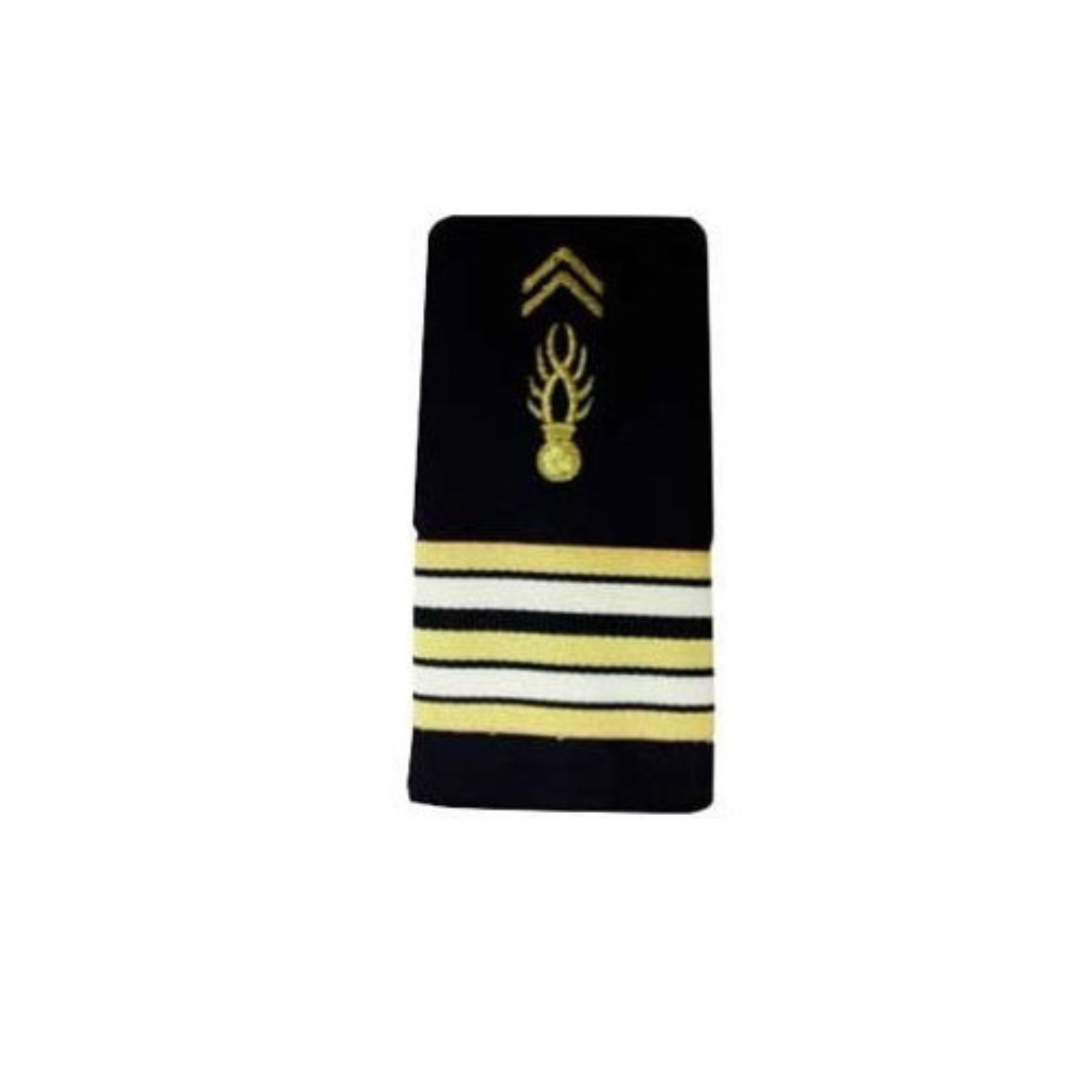 #grade_lieutenant colonel