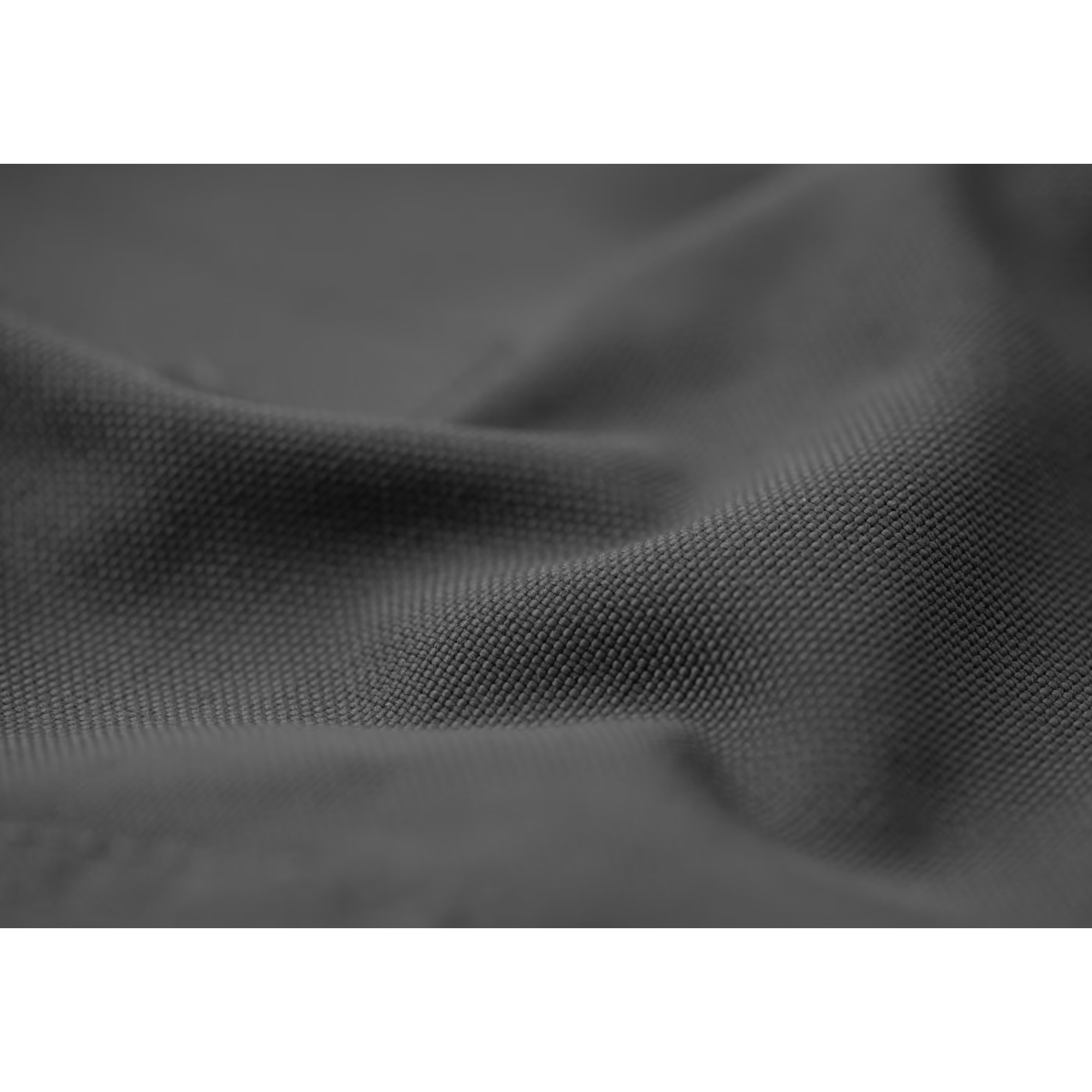 #couleur_wolf grey
