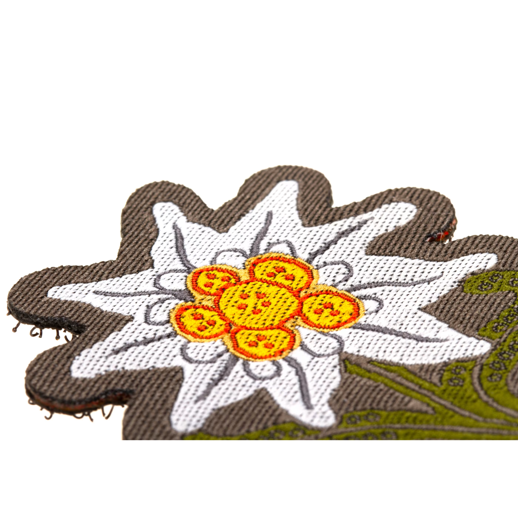Écusson Edelweiss