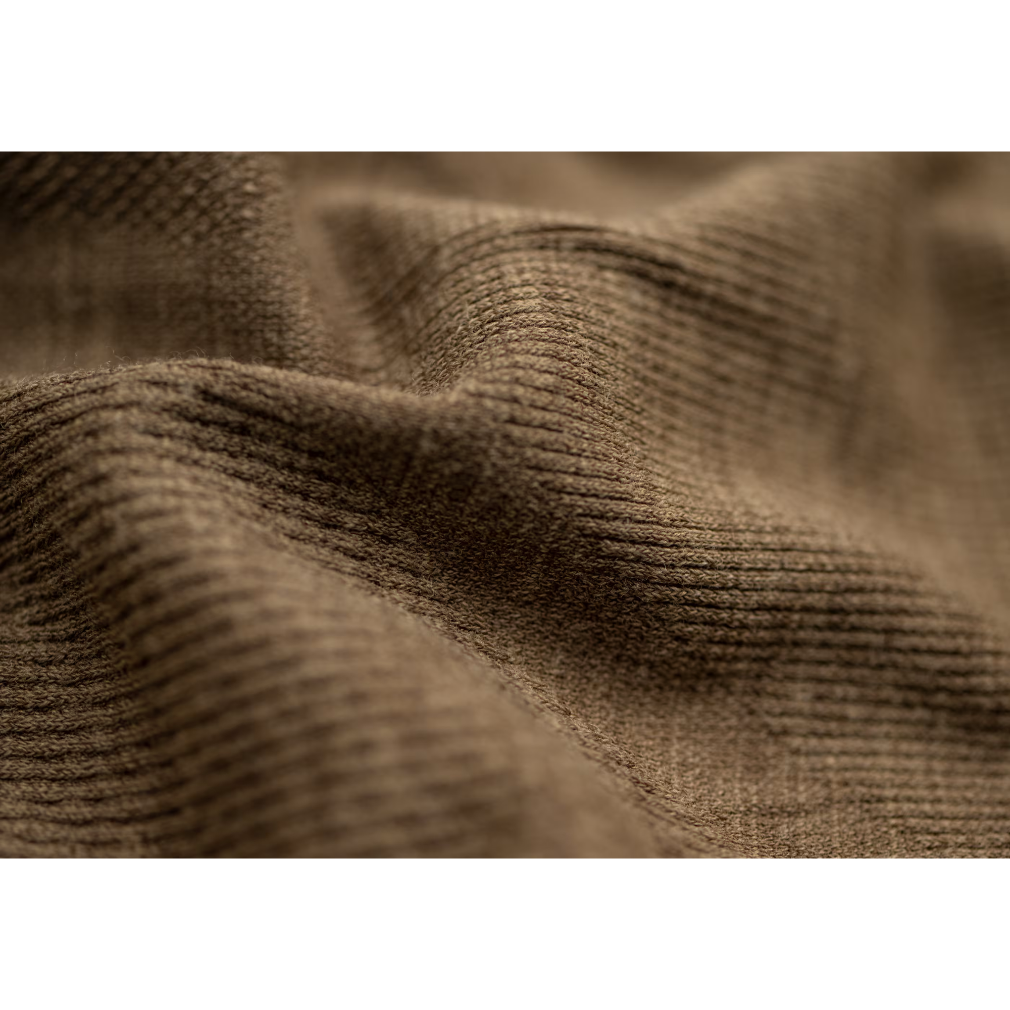 #couleur_stonegrey olive